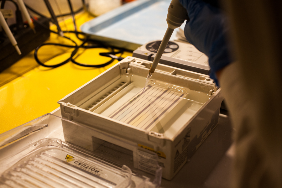 Electrophoresis