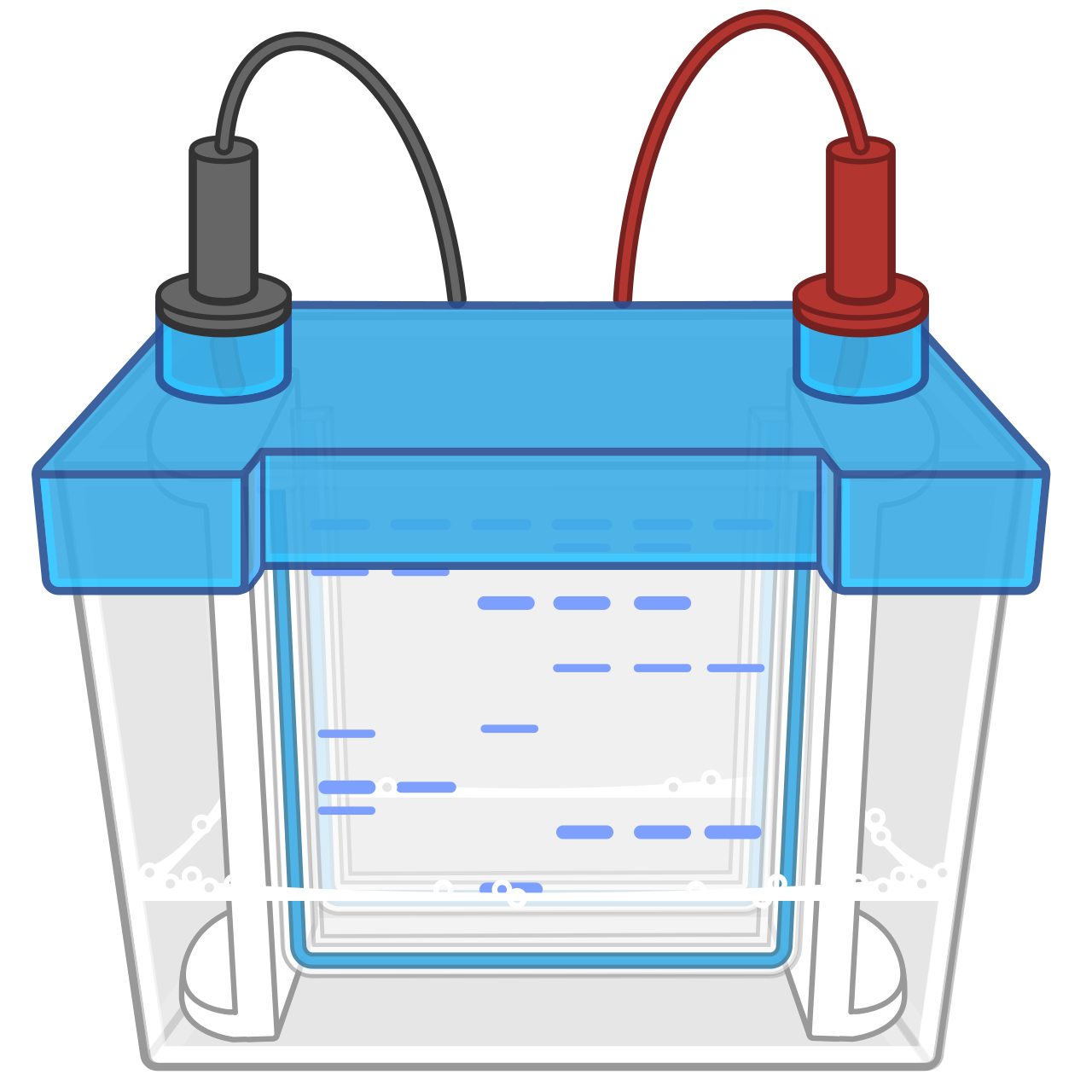 Electrophoresis