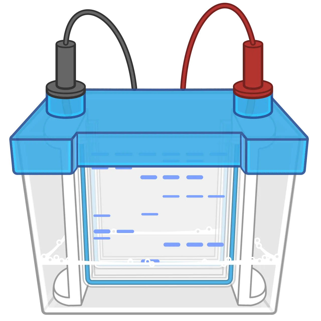 Electrophoresis
